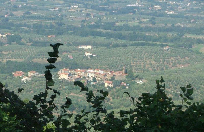 Podere Calistri Larciano Ngoại thất bức ảnh